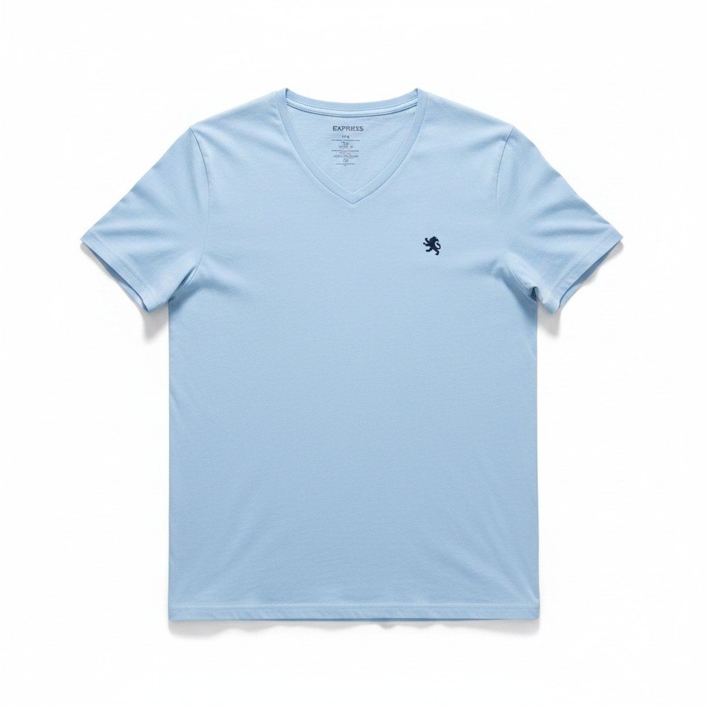 Express L Light Blue V-Neck T-Shirt Mens Casual Minimalist Short Sleeve Tee